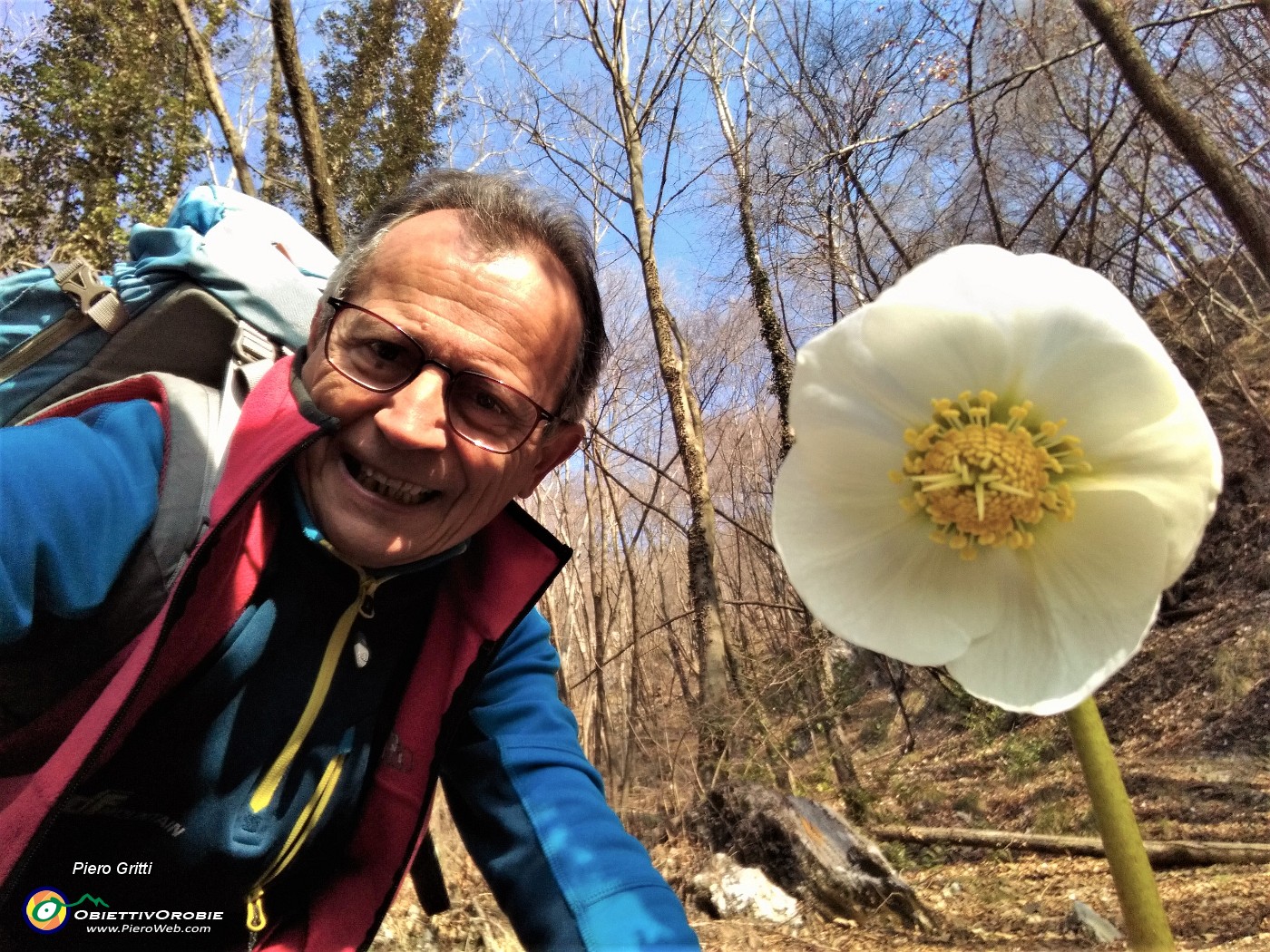 01 Ellebori in fiore  sul sent. 802 per il Passo Pertulena.jpg